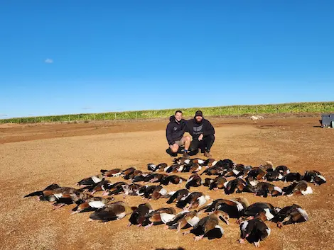 Two hunters embracing each other and posing with their ducks and geese they shot for the day