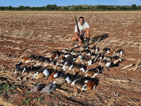 A hunter out in the pen green field posing with the ducks and geese he shot