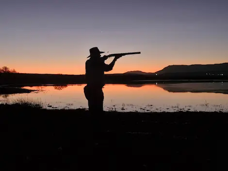 A sunset sihouette of a hunter holding his shotgun shooting ducks over a lake