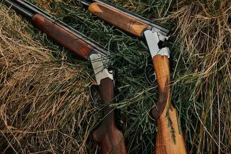 A close up image of two shotguns on top of grass
