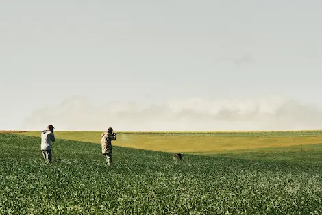 Two hunters out in an open field shooting a flying duck