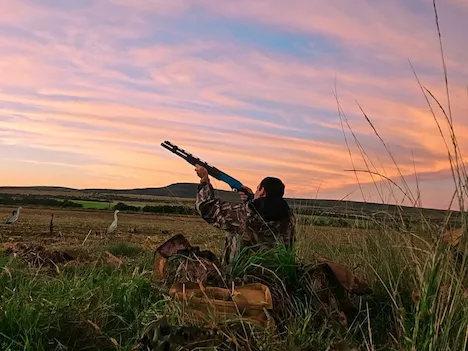 A hunter sitting in his blind holding his shotgun up in the air aiming at a flying duck
